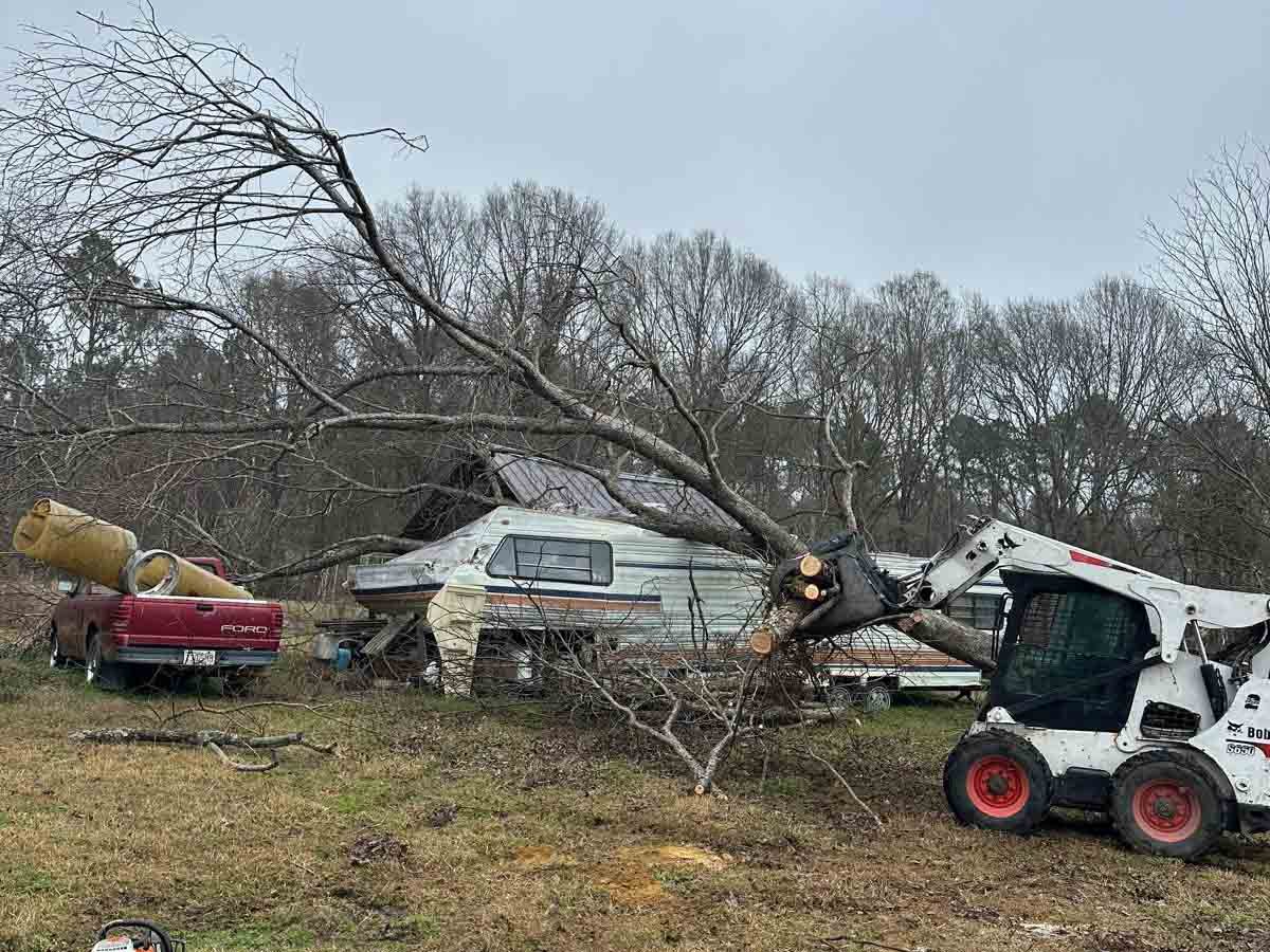 El Costeño Tree Service LLC